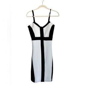 Poetry Bodycon Mini Dress